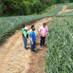 Censo-Agropecuario-fea5f5f9