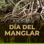 Día del Manglar