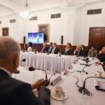 Mulino y partidos políticos 3