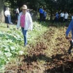 huerto-escolar-en-herrera