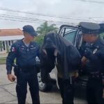 maltratador de Arraiján