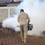 mosquitos en el Oeste 2