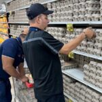 verificadores de huevos 2