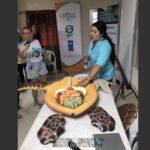 tortugas