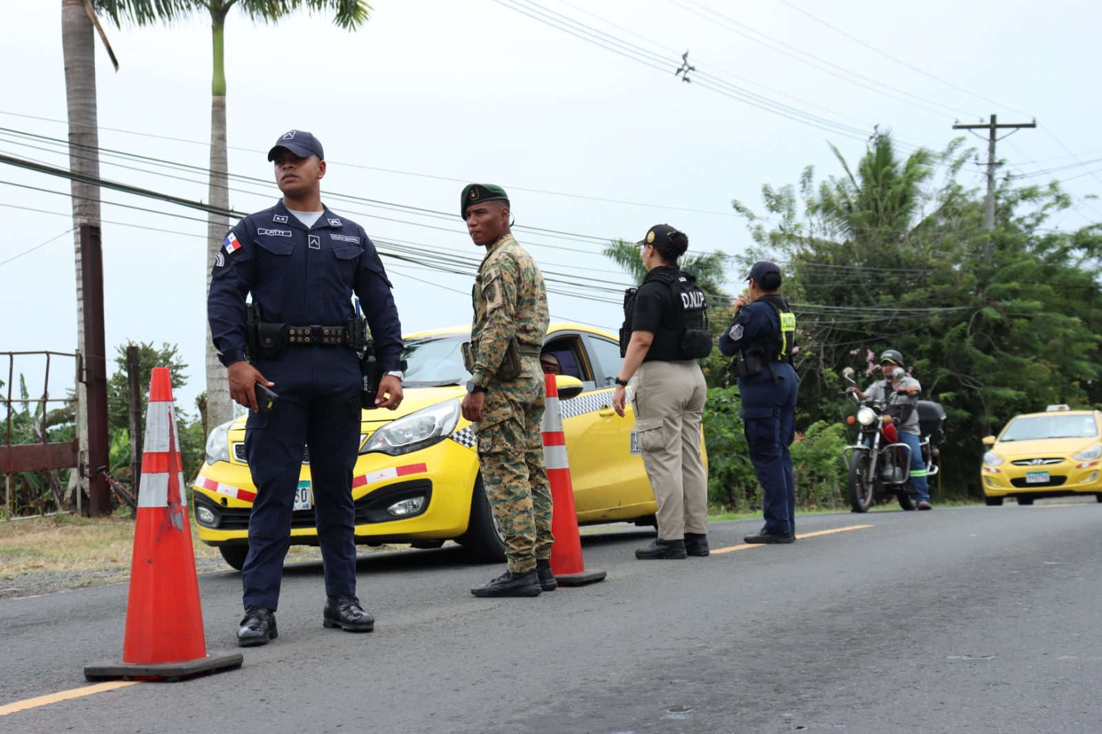 Unas 84 personas aprehendidas en la Operación Odiseo Fase II