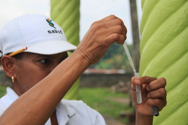 Reiteran a la población redoblar los esfuerzos en la eliminación de criaderos de mosquitos y prevenir el dengue