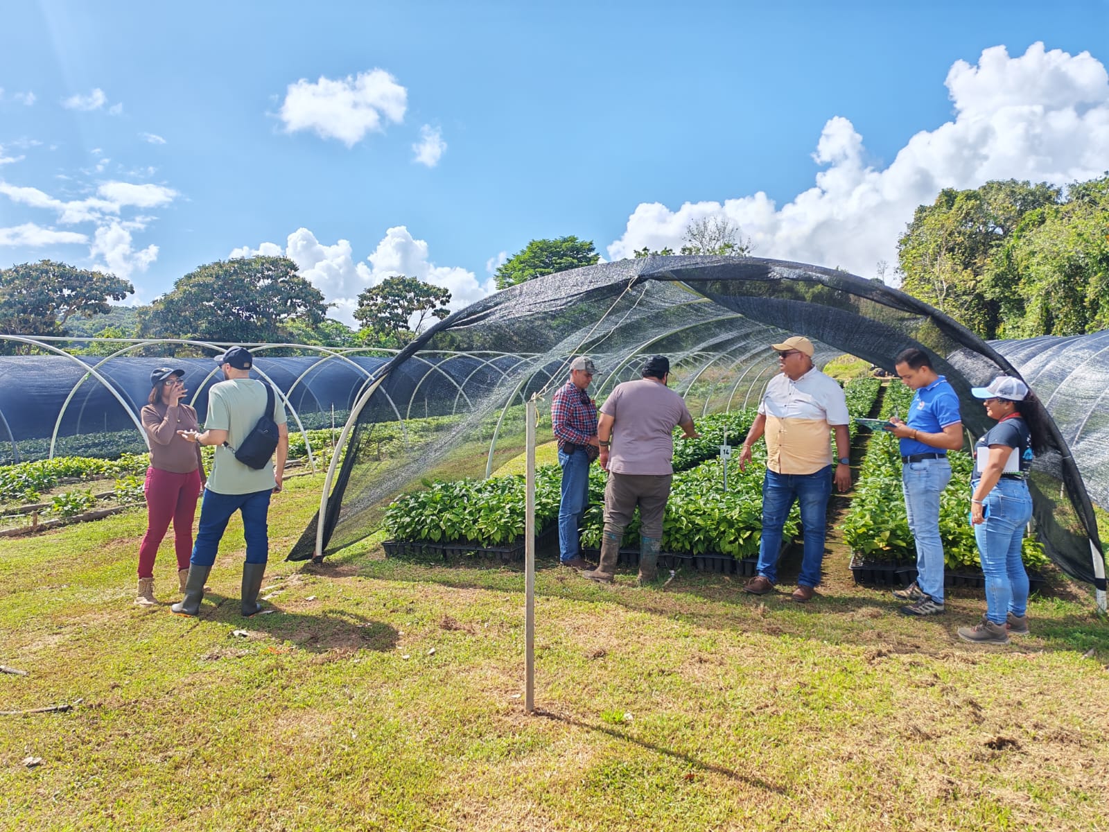 Inspeccionan nuevas fincas con potencial agroturístico en Colón