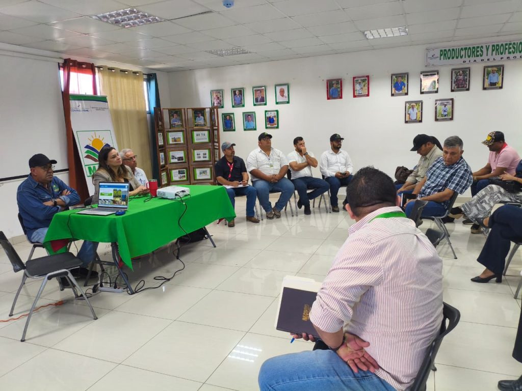 ¡Atención! Ganadería del MIDA presenta proyectos 2026