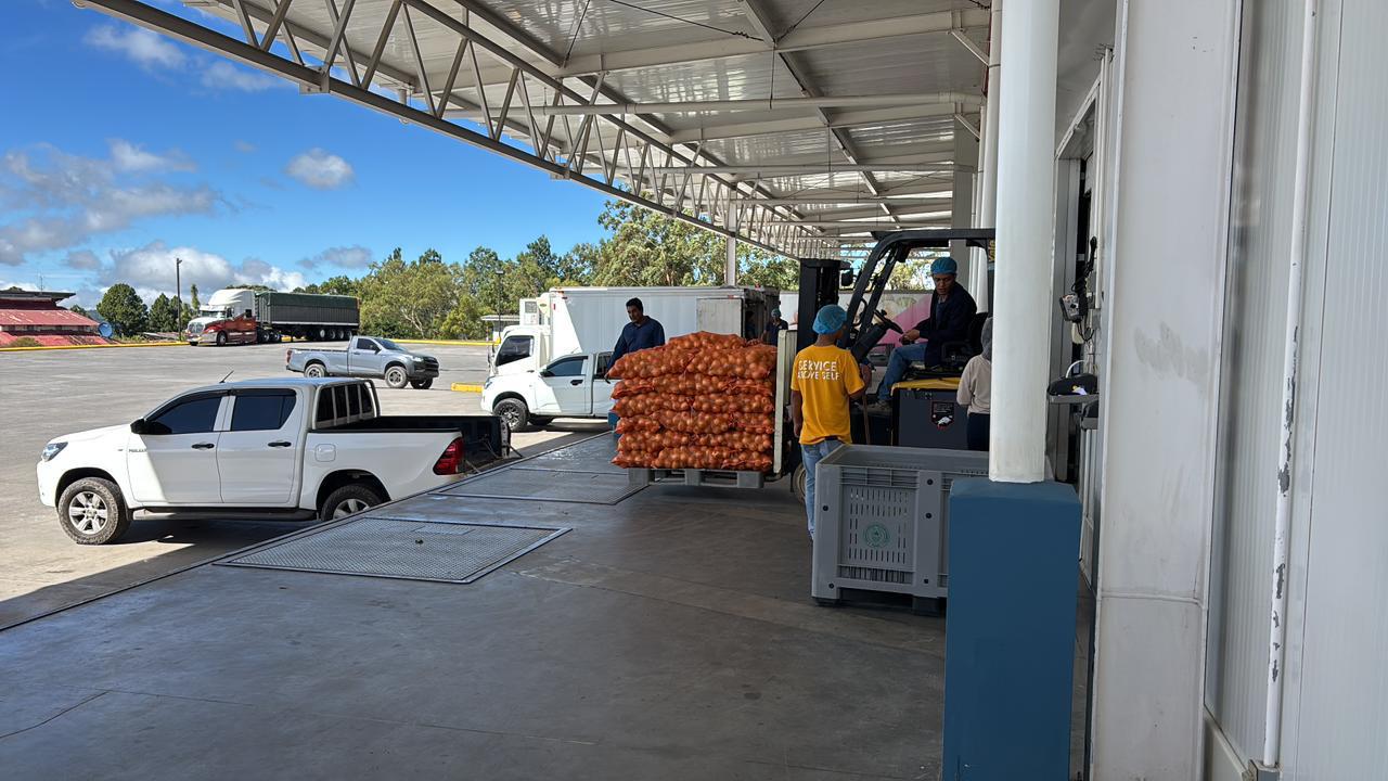 Técnicos del MIDA de Coclé se capacitan en el manejo postcosecha de la cebolla en Volcán
