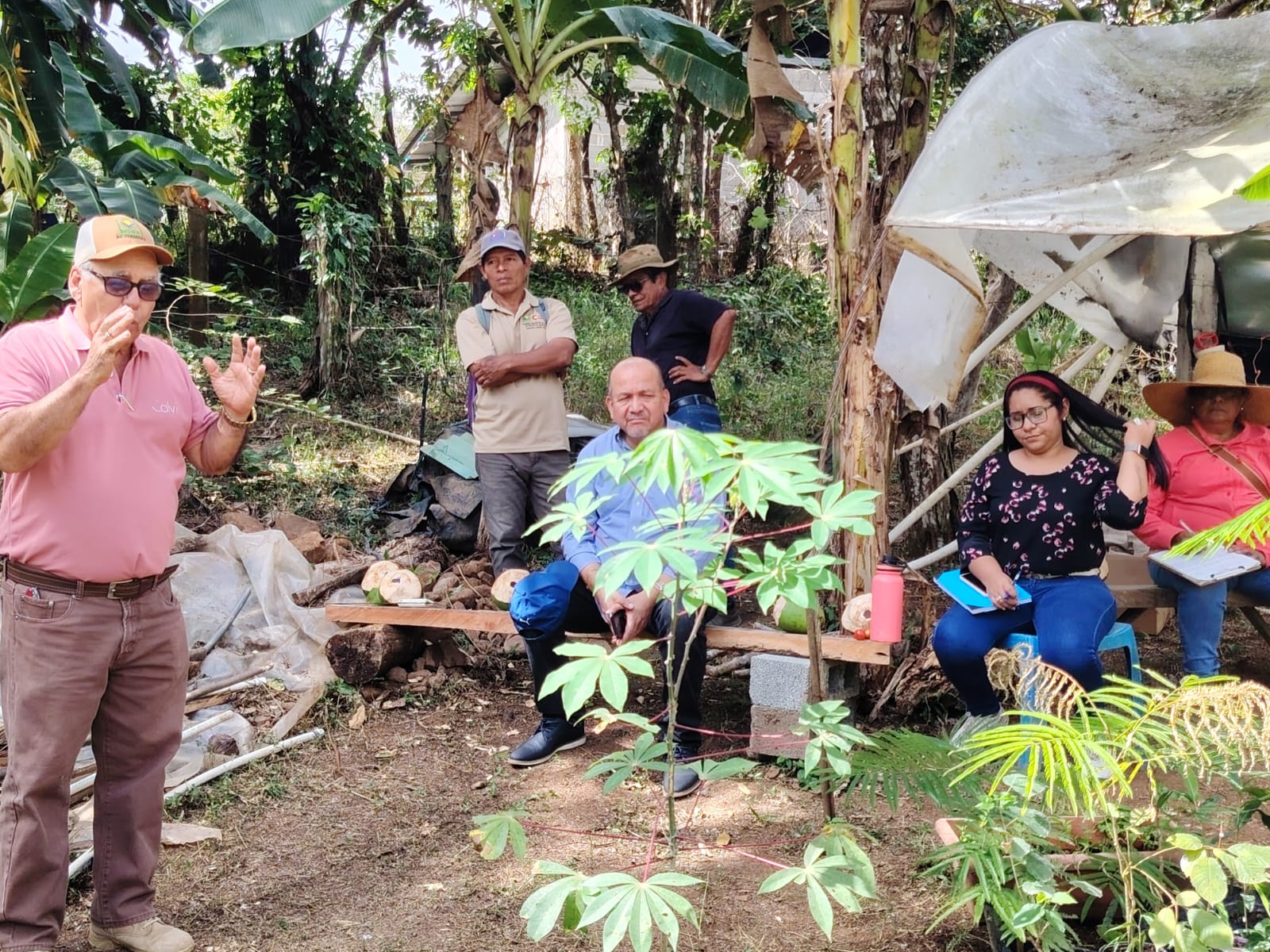 Personal técnico del MIDA en Veraguas visitó finca agrotecnológica