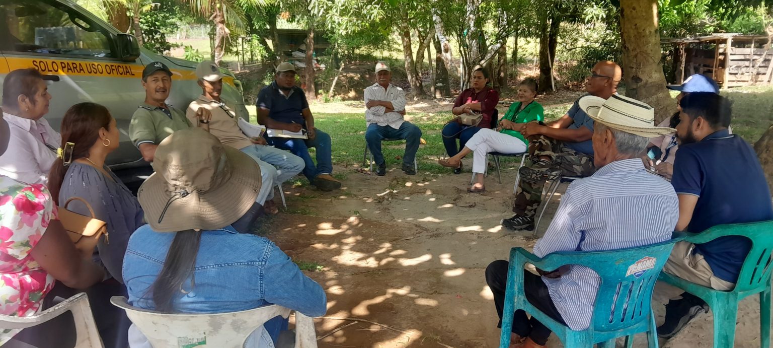 Productores de tilapia en Panamá Este reciben asesoría técnica