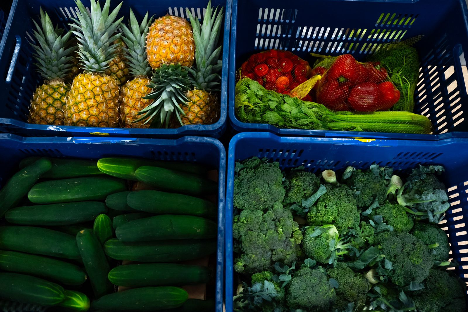 Meduca inicia entrega de alimentos para el Programa de Almuerzo Escolar