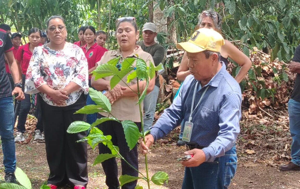 MIDA en Panamá de Oeste presenta avances de la transformación y sostenibilidad agrícola