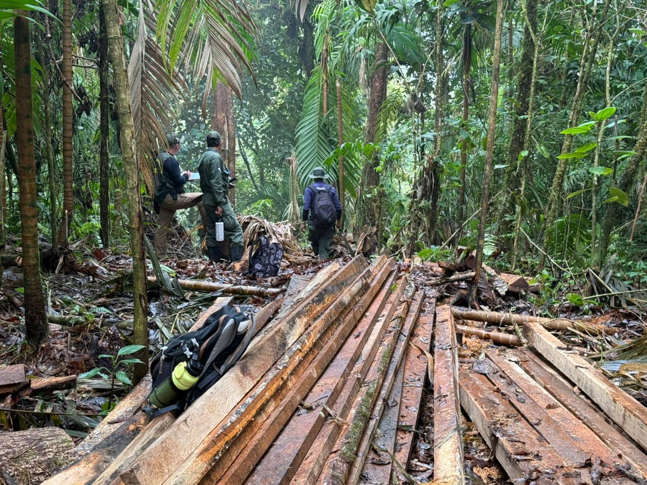 Detectan tala ilegal en el Volcán Barú