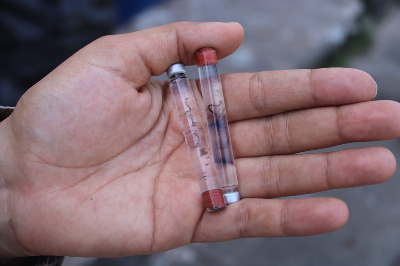 Insisten en reforzar medidas de prevención y eliminación de criaderos de mosquitos; hay 197 pacientes hospitalizados con dengue