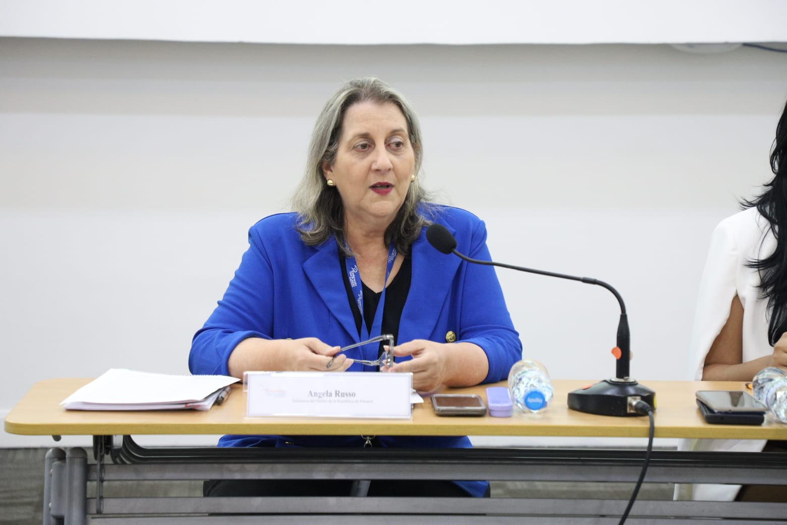 Defensora Angela Russo lidera mesa de trabajo interinstitucional para fortalecer el Observatorio Panameño contra la Violencia de Género