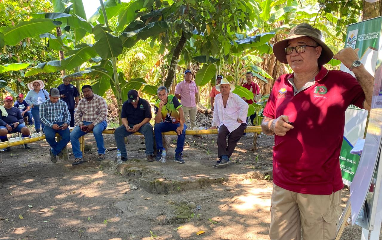 Realizan actividades de capacitación a productores de arroz para el ciclo agrícola