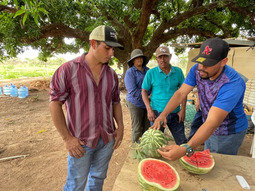 jornada-sandia-1-1024x768