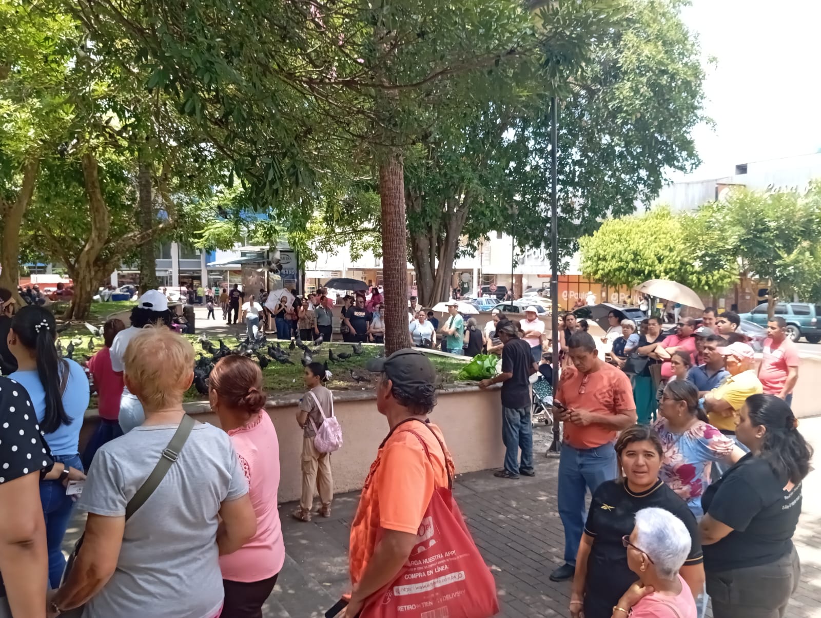 Intensifican campaña nacional de vacunación contra el sarampión durante el fin de semana; no se han detectado nuevos casos