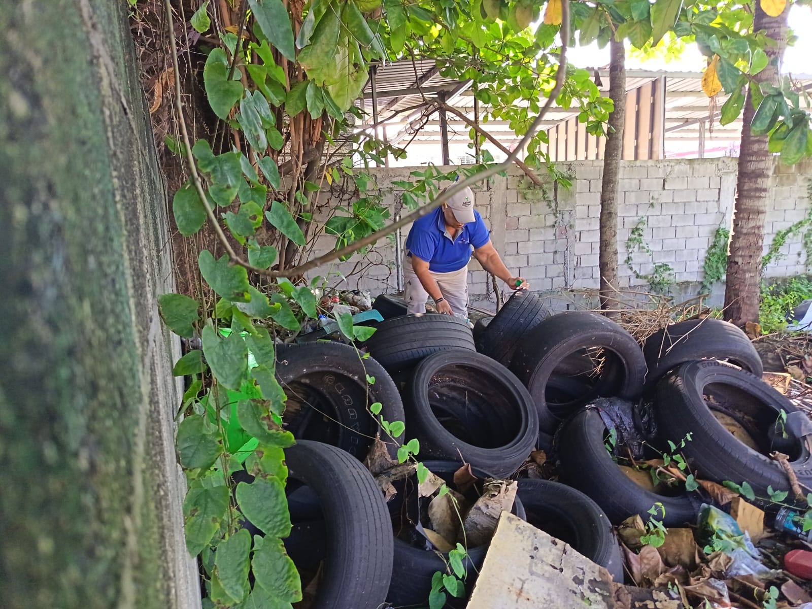 Dengue baja 27.3 % en Panamá, pero Minsa llama a no bajar la guardia